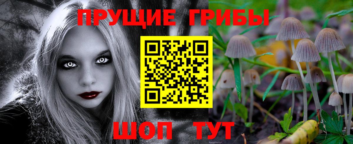 Галлюциногенные грибы мицелий  купить наркотик  Шали  Вход с VPN  Галлюциногенные грибы Psilocybe 