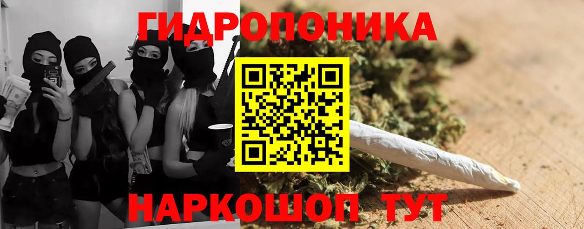Шишки марихуана конопля Шали